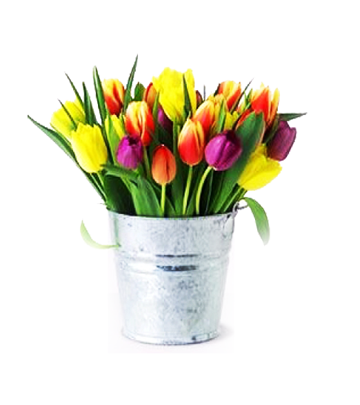 Tulipanes en Florero Galvanizado Primaveral 30 uni